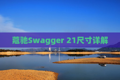 蔻驰Swagger 21尺寸详解